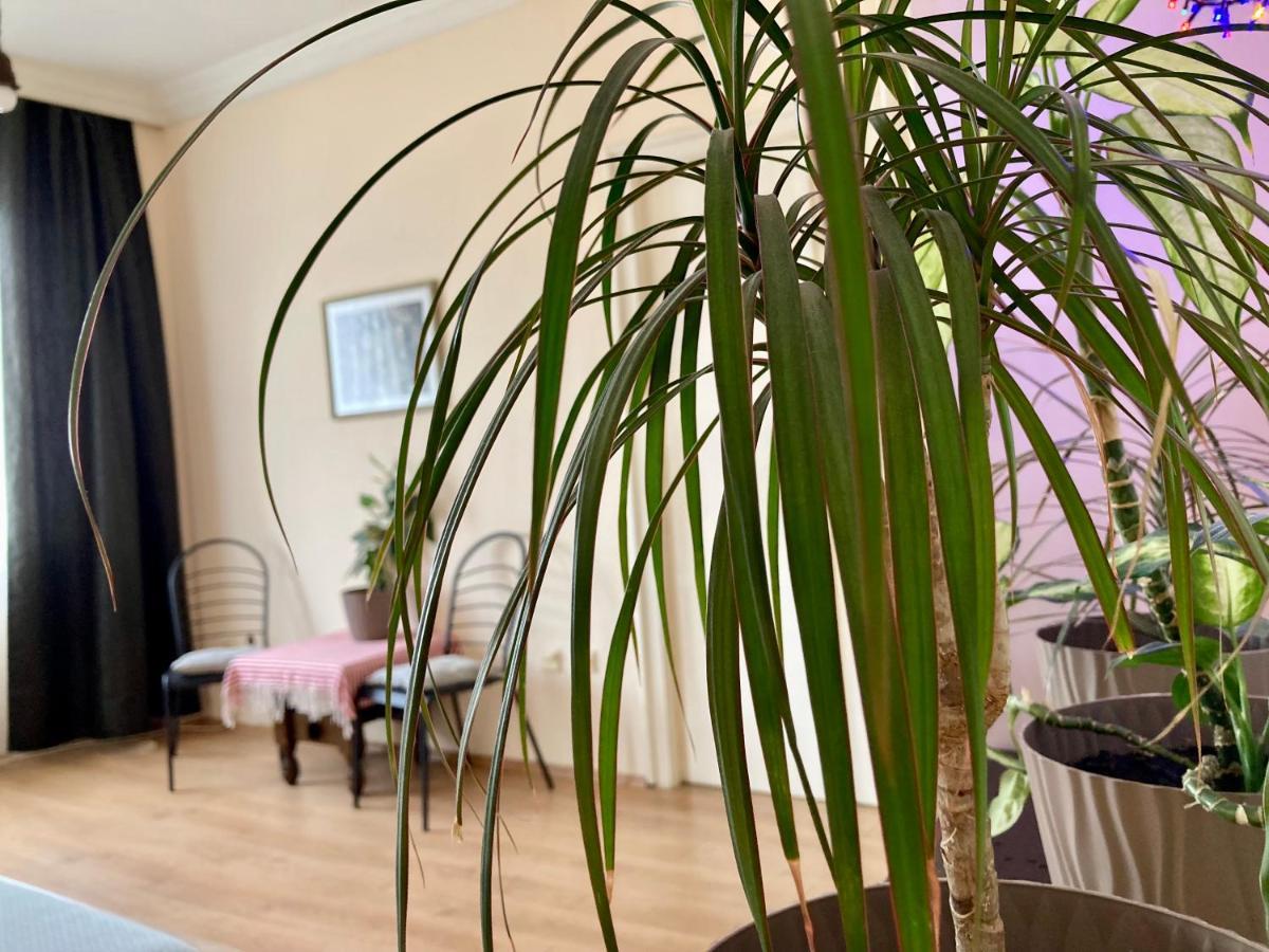 Terazije Square Lux Apartment Belgrado Esterno foto